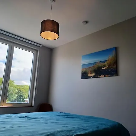 Le Libr-air * コクセッド